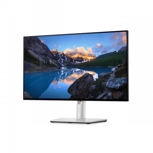 DELL UltraSharp U2422HE LED display 60,5 cm [23.8] 1920 x 1080 Pixel Full HD LCD Nero, Argento (UltraSharp U2422HE, 61 cm - [24] DELL UltraSharp - U2422HE, 61 cm [24], 1920 x 1080 pixels, Full HD, LCD, 8 ms, Black, Silver - Warranty: 12M)DellU2422HE