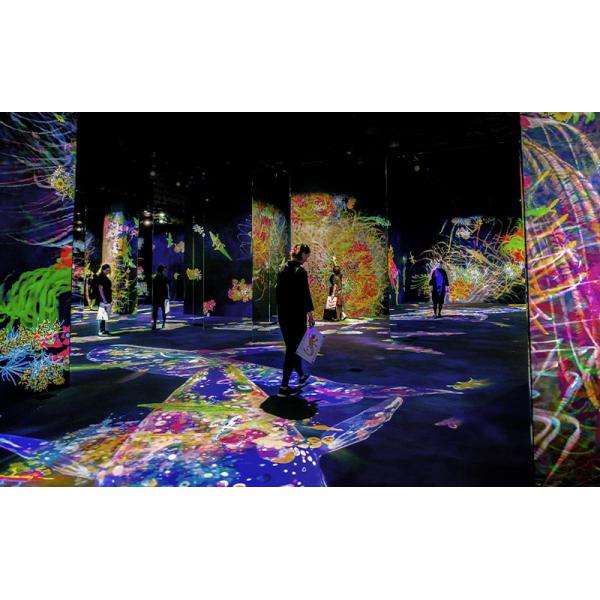 Epson EB-PU1007B Proiettore per grandi ambienti 7000 ANSI lumen 3LCD WUXGA [1920x1200] Nero (EB-PU1007B Projector - Lens Not Included - 7000 ANSI Lumens WUXGA Projector -\sLens Not Included)Epson8715946697413V11HA34840