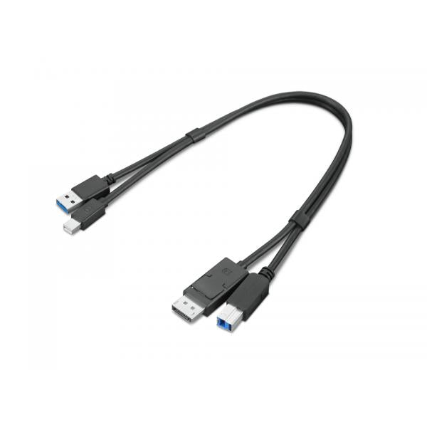 Lenovo 4X91D11453 cavo USB USB 3.2 Gen 1 [3.1 Gen 1] 0,43 m USB A USB B Nero (Lenovo Dual Head - Kit cavo display/USB - USB Tipo A, DisplayPort [M] a USB Type B, Mini DisplayPort [M] - USB 3.0 - 43 cm - nero - per ThinkCentre M75t Gen 2, ThinkStation...