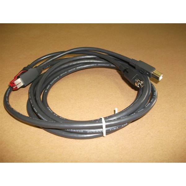 Epson 2218424 cavo di alimentazione Nero 3 m PoweredUSB (EPSON PUSB Y CABLE: PWR-USB TO - USBB / 3PPP CABLE 3.0M BLACK)Epson2218424