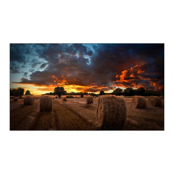 Samsung VM55B-U LED Interno (55 VM55BU Video Wall Display - 55Black Video Wall Display Full HD 500 cd/m2 24/7 Operation 3.5mm combined bezel)SamsungLH55VMBUBGBXEN