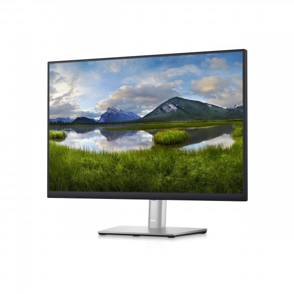 DELL P Series Monitor 24 : P2423 (P2423 - 61cm 24 - DELL P Series P2423, 61 cm - [24], 1920 x 1200 pixels, WUXGA, LCD, 5 ms, Black, Silver - Warranty: 12M)DellDELL-P2423