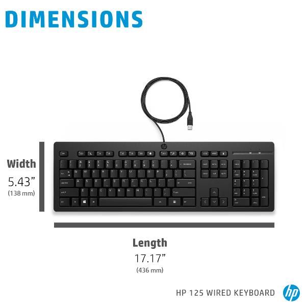 HP Tastiera 125 Wired (125 USB KEYBOARD Germany - Warranty: 12M)Hp266C9AA#ABD