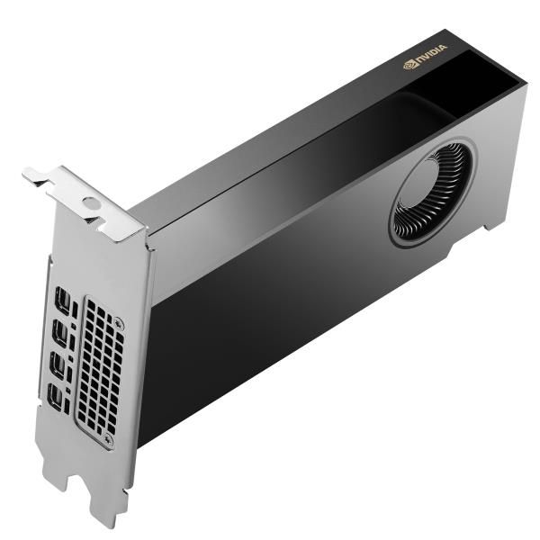 HP NVIDIA RTX PH x2xxx 4mDP Graphics (NVIDIA RTX Pro 2000 16GB PCI-e 5x16 Quad Head 16GB GDDR7 /4xDP 2,1/70Watt)Hp0198990076775B5CH7AA