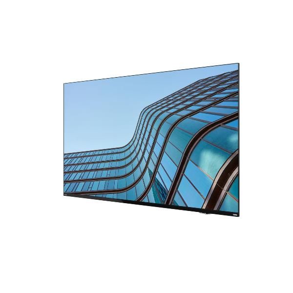 Lenovo ThinkVision E55 LFD Monitor PC 138,7 cm [54.6] 3840 x 2160 Pixel 4K Ultra HD IPS Nero (Lenovo ThinkVision E55 LFD 55 Klasse)Lenovo019815660363064A9GAT1EK