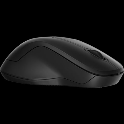 HP 255 Dual Wireless Mouse (HP 255 DUAL WIRELESS MOUSE)Hp8R3U1UT#ABB