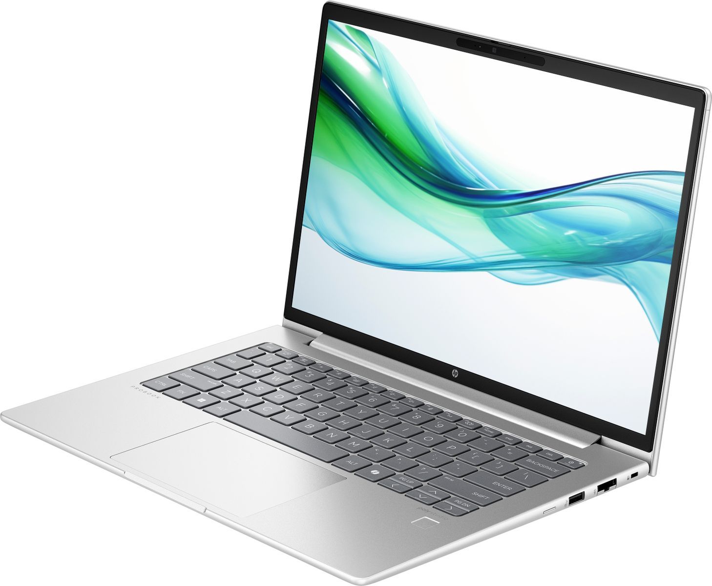 HP ProBook 445 G11 AMD Ryzen 5 7535U Computer portatile 35,6 cm [14] WUXGA 8 GB DDR5-SDRAM 512 GB SSD Wi-Fi 6E [802.11ax] Windows 11 Pro Argento (HP PB445G11 R5-7535U 14 8GB/512 PC Italy - Italian localization)Hp9Y7D0ET#ABZ