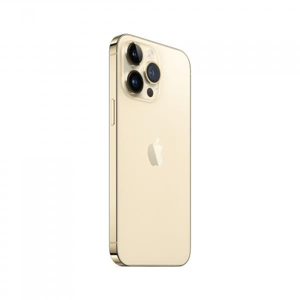 Apple iPhone 14 Pro Max 17 cm [6.7] Doppia SIM iOS 16 5G 256 GB Oro (^IPHONE 14 PRO MAX 256GB GOLD)