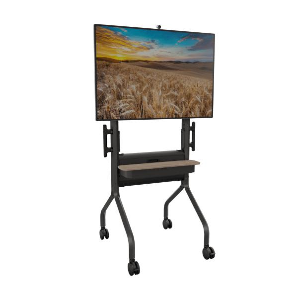 VOYAGER TROLLEY FOR CORPORATE APPLICATIONS CAPACITY 80 KG VESA