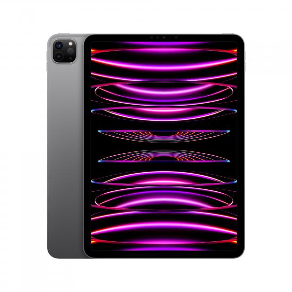 IPAD PRO 11IN WI-FI 256GB - SPACE GREY
