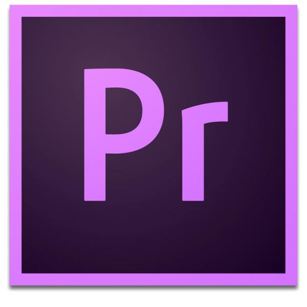 Adobe Premiere Pro for enterprise Editor video 1 licenza/e 1 anno/i (PREMIERE PRO ENT VIP GOV - NEW 1Y L4)