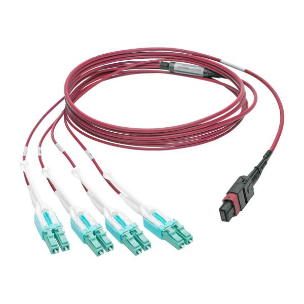 Tripp Lite N845-02M-8L-MG cavo a fibre ottiche 2 m MPO/MTP 8x LC CMP OM4 Nero, Magenta, Turchese (Tripp Lite MTP/MPO to 8xLC Fan-Out Patch Cable, 40 GbE, 40GBASE-SR4, OM4 Plenum-Rated, Push/Pull Tab, Magenta, 2 m [6.6 ft.] - Patch cable - MTP/MPO mul...
