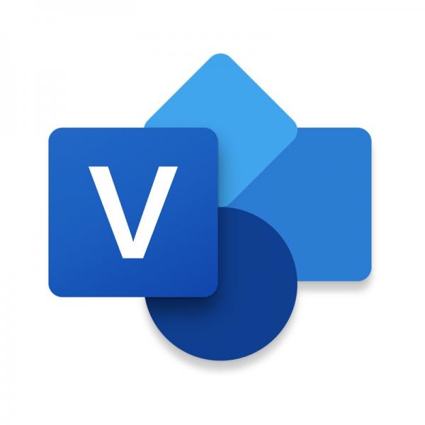 Microsoft Visio Standard 2021 Grafico 1 licenza/e Inglese (VISIO STD 2021 WIN ENGLISH - MEDIALESS)