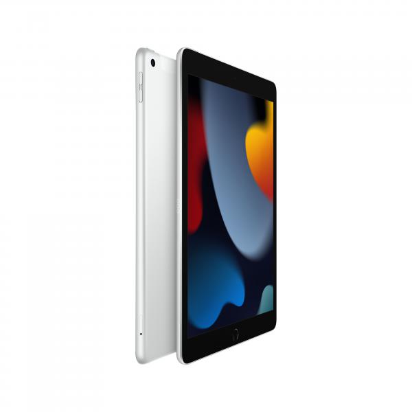 10.2-INCH IPAD WI-FI + CELLULAR 256GB - SILVER