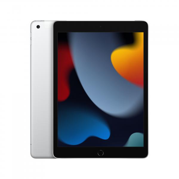 10.2-INCH IPAD WI-FI + CELLULAR 256GB - SILVER