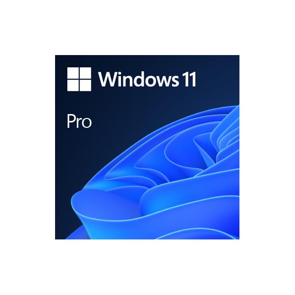 Microsoft Windows 11 Pro Prodotto completamente confezionato [FPP] 1 licenza/e (Windows 11 Pro - Box pack - 1 licenza - unit flash - 64-bit - Italiano)